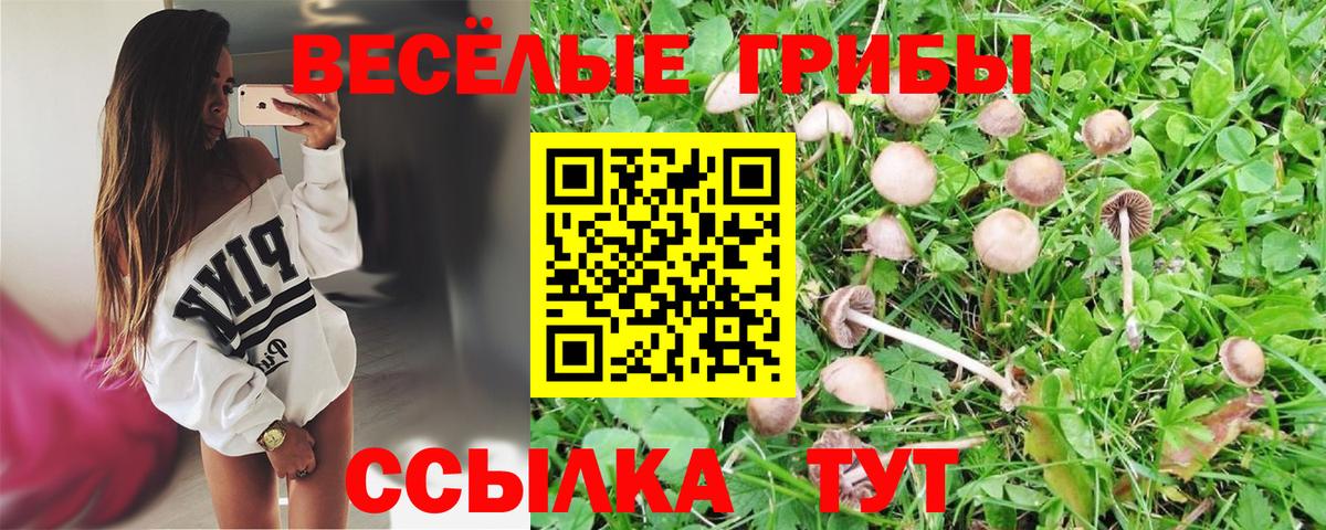 Галлюциногенные грибы MAGIC MUSHROOMS Сафоново